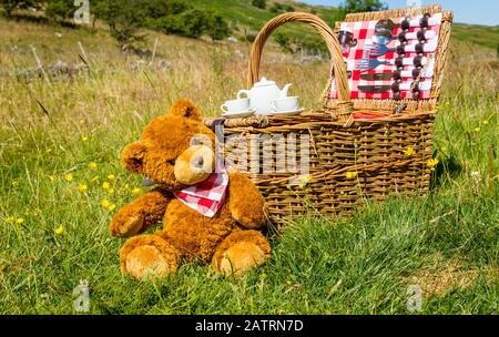 Pique-nique de Teddy Bear. Un joli ours marron portant un mouchoir rouge et blanc. S'est assis dans un pré anglais à Summertime. Panier traditionnel en osier Banque D'Images