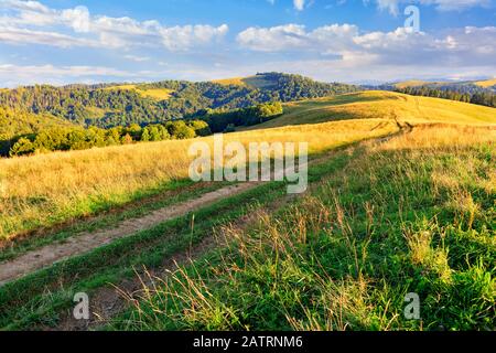 Une route de terre traverse les pics de montagne des collines Carpates remplies de lumière dorée au soleil du matin. Banque D'Images