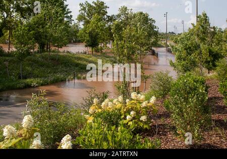 Inondation couvrant sentier de randonnée et pont piétonnier dans le parc avec des fleurs sauvages près de la rivière Arkansas à Tulsa OK USA pendant une inondation de 100 ans Banque D'Images