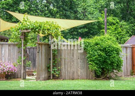 Jardin ou zone de fête ombragée par des voiles et un parasol derrière la clôture privée avec porte ouverte avec des vignes qui poussent sur un treillis et sur la clôture et l'écoulement rustiques Banque D'Images