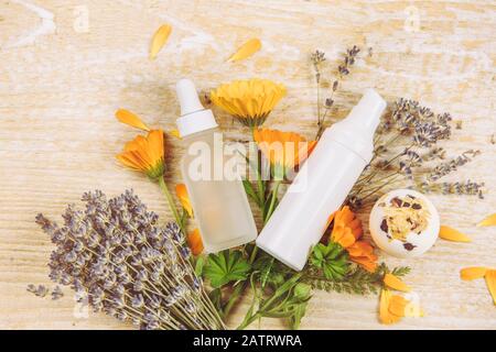 Concept de cosmétiques à base de plantes biologiques. Vue de dessus de diverses plantes herbacées et de récipients de produits de beauté sur fond texturé de bois, beaucoup d'espace de copie. Banque D'Images