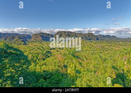 Panorama des collines vertes des caraïbes à Vinales, Pinar Del Rio, Cuba Banque D'Images