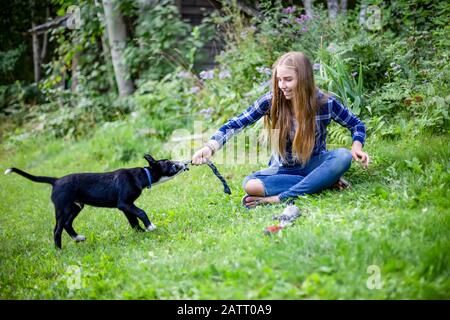 Fille jouant avec son chien; Salmon Arm, Colombie-Britannique, Canada Banque D'Images