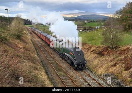 Locomotive à vapeur de classe A 4 Union de l'Afrique du Sud à l'essai de Carnforth, vue ici au sommet de Giggleswick près De Settle, dans le Yorkshire du Nord. Banque D'Images