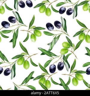 Olives illustration de l'aquarelle dessinée à la main. Répétition transparente. Banque D'Images