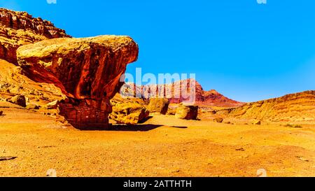 Grand rocher Équilibré Toadstool près de Lee's Ferry dans la zone de loisirs nationale de Glen Canyon à Vermilion Cliffs et Marble Canyon près de Page, Arizona, États-Unis Banque D'Images