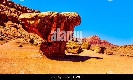 Grand rocher Équilibré Toadstool près de Lee's Ferry dans la zone de loisirs nationale de Glen Canyon à Vermilion Cliffs et Marble Canyon près de Page, Arizona, États-Unis Banque D'Images