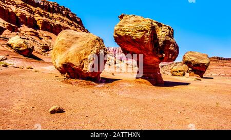 Grand rocher Équilibré Toadstool près de Lee's Ferry dans la zone de loisirs nationale de Glen Canyon à Vermilion Cliffs et Marble Canyon près de Page, Arizona, États-Unis Banque D'Images