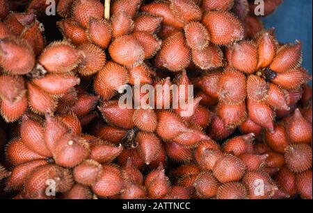 Palm background texture Salak fruits serpent ou en vente dans le marché aux fruits / Salacca zalacca Banque D'Images