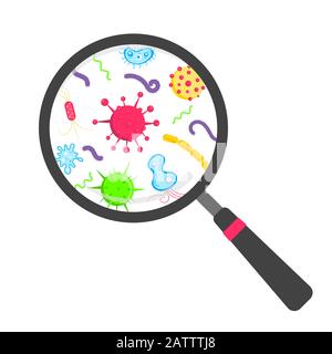 Microbes et bactérias dans la loupe circulaire illustration vectorielle de style plat isolée sur fond blanc. Illustration de Vecteur