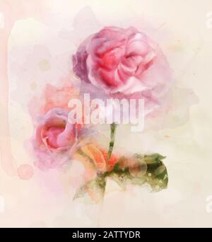 Collection de fleurs de printemps et d'été – roses roses illustration numérique des aquarelles Banque D'Images