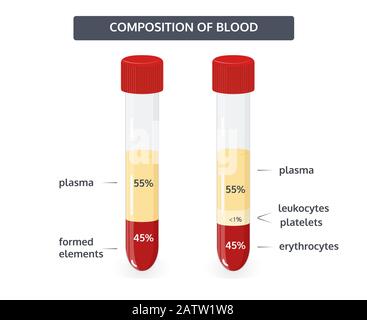 Composition du sang, le pourcentage d'éléments formés du sang, vecteur concept médical. Illustration de Vecteur