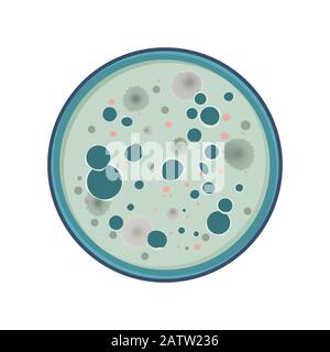 Colonie de bactéries, croissance de champignons dans la boîte de pétri, modèle plat, illustration vectorielle. Illustration de Vecteur