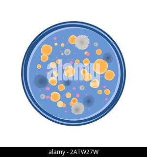 Colonie de bactéries et de champignons de croissance dans la boîte de pétri, vecteur de style plat. Illustration de Vecteur