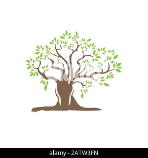Vector illustration de l'arbre avec les feuilles qui tombent Illustration de Vecteur