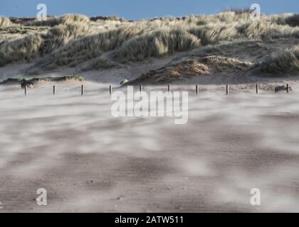 Sable soufflant sur une plage venteuse Banque D'Images