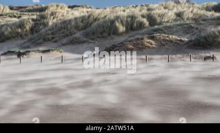 Sable soufflant sur une plage venteuse Banque D'Images