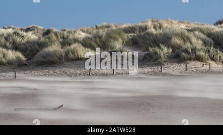 Sable soufflant sur une plage venteuse Banque D'Images
