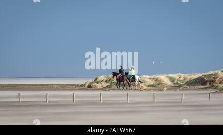 Chevaux sur une plage Banque D'Images