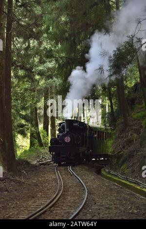 Train à vapeur dans la forêt d'Alishan Banque D'Images