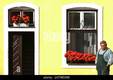 Ustek, République tchèque, 2005: Un homme en combinaisons vertes, se tient fièrement devant sa maison, avec des fleurs de géraniums rouges magnifiquement soignées sur son vent Banque D'Images