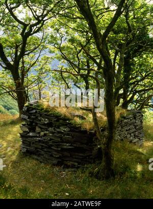 Vue S d'un abri de souffle rectangulaire avec un toit herbacé en pente près du sommet de l'Incline de la carrière d'ardoise de Vivian, Llanberis, Pays de Galles, Royaume-Uni. Banque D'Images