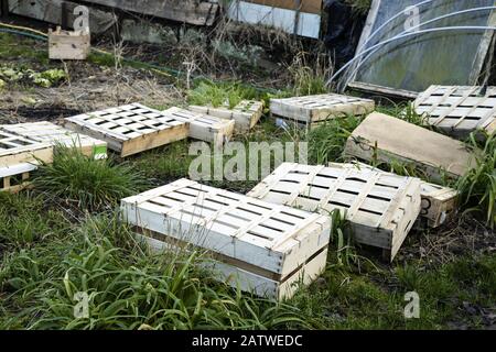 Jardin de légumes en hiver, préparations pour le printemps Banque D'Images