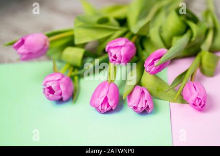 Gros plan d'un bouquet de tulipes roses sur fond de papier bicolore. Printemps, concept de fleurs Banque D'Images
