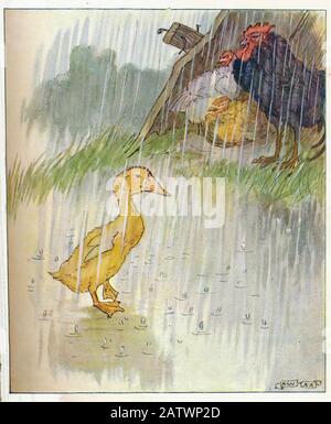 The Daring Duckie Book 1915 - Illustration D'Anne Anderson (1874 - 1930) Banque D'Images