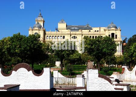 Vue sur les jardins Pedro Luis Alonso avec l'hôtel de ville à l'arrière, Malaga, Malaga Province, Andalousie, Espagne, Europe occidentale Banque D'Images