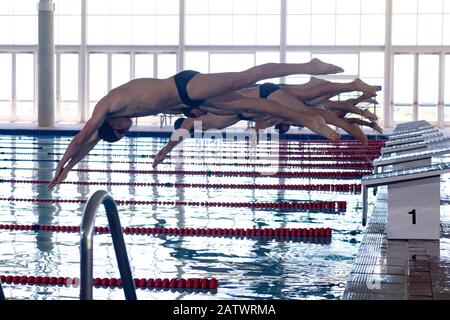 Les nageurs plongent dans la piscine Banque D'Images