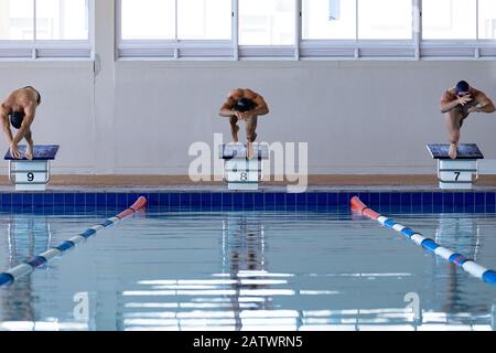 Les nageurs plongent dans la piscine Banque D'Images