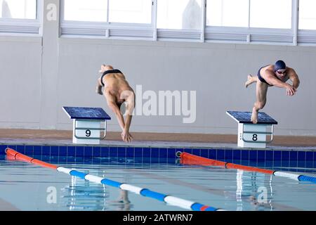 Les nageurs plongent dans la piscine Banque D'Images