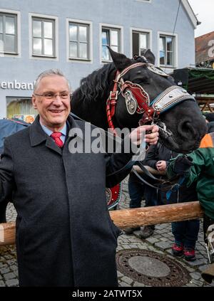Berching, Allemagne. 05 février 2020. Joachim Herrmann (CSU), ministre bavarois de l'intérieur, se tient à côté d'un cheval sur le marché des chevaux de Berching. Le Berchinger Rossmarkt est considéré comme le plus grand festival folklorique d'hiver de l'État libre. Crédit: Armin Weigel/Dpa/Alay Live News Banque D'Images