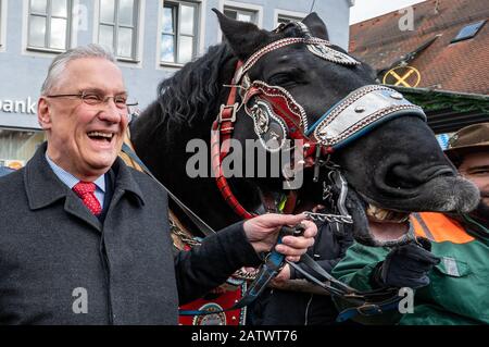 Berching, Allemagne. 05 février 2020. Joachim Herrmann (CSU), ministre bavarois de l'intérieur, se tient à côté d'un cheval sur le marché du cheval Berching et rires. Le Berchinger Rossmarkt est considéré comme le plus grand festival folklorique d'hiver de l'État libre. Crédit: Armin Weigel/Dpa/Alay Live News Banque D'Images