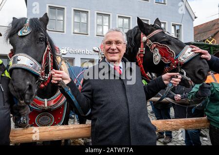 Berching, Allemagne. 05 février 2020. Joachim Herrmann (CSU), ministre bavarois de l'intérieur, se tient entre deux chevaux sur le marché du cheval à Berching. Le Berchinger Rossmarkt est considéré comme le plus grand festival folklorique d'hiver de l'État libre. Crédit: Armin Weigel/Dpa/Alay Live News Banque D'Images