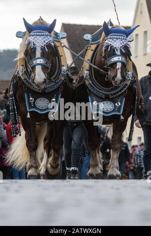 Berching, Allemagne. 05 février 2020. Les chevaux sont emmenés au marché des chevaux de Berchinger. Le Berchinger Rossmarkt est considéré comme le plus grand festival folklorique d'hiver de l'État libre. Crédit: Armin Weigel/Dpa/Alay Live News Banque D'Images