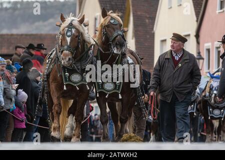 Berching, Allemagne. 05 février 2020. Les chevaux sont emmenés au marché des chevaux de Berchinger. Le Berchinger Rossmarkt est considéré comme le plus grand festival folklorique d'hiver de l'État libre. Crédit: Armin Weigel/Dpa/Alay Live News Banque D'Images