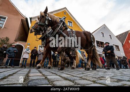 Berching, Allemagne. 05 février 2020. Les chevaux sont emmenés au marché des chevaux de Berchinger. Le Berchinger Rossmarkt est considéré comme le plus grand festival folklorique d'hiver de l'État libre. Crédit: Armin Weigel/Dpa/Alay Live News Banque D'Images