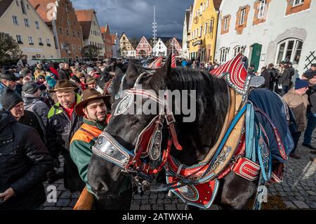 Berching, Allemagne. 05 février 2020. Les chevaux se trouvent sur le marché du Berchinger Rossmarkt. Le Berchinger Rossmarkt est considéré comme le plus grand festival folklorique d'hiver de l'État libre. Crédit: Armin Weigel/Dpa/Alay Live News Banque D'Images