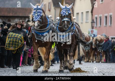 Berching, Allemagne. 05 février 2020. Les chevaux sont emmenés au marché des chevaux de Berchinger. Le Berchinger Rossmarkt est considéré comme le plus grand festival folklorique d'hiver de l'État libre. Crédit: Armin Weigel/Dpa/Alay Live News Banque D'Images