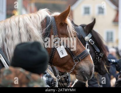 Berching, Allemagne. 05 février 2020. Les chevaux se tiennent au Berchinger Rossmarkt sur le marché. Le Berchinger Rossmarkt est considéré comme le plus grand festival folklorique d'hiver de l'État libre. Crédit: Armin Weigel/Dpa/Alay Live News Banque D'Images
