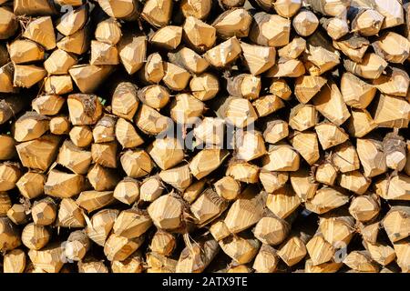 Vue de face de bois haché manuellement dans des piquets d'arbres avec une extrémité affinée utilisée pour la pêche de clôture. Banque D'Images