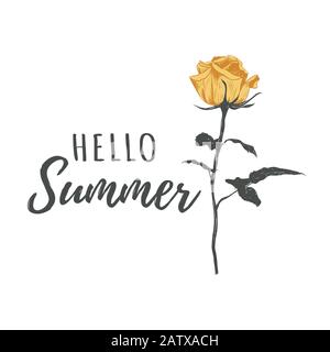 Bonjour illustration vectorielle de texte calligraphie d'été Illustration de Vecteur