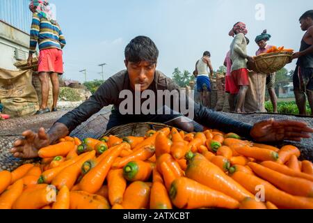 Bangladesh – 24 janvier 2020 : les agriculteurs mettent beaucoup de carottes propres dans des paniers en bambou à Savar, Dhaka, Bangladesh. Banque D'Images