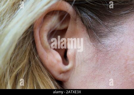 Gros plan sur l'oreille d'une femme blonde âgée ou d'âge moyen Banque D'Images