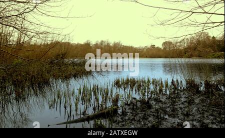 Glasgow, Ecosse, Royaume-Uni, 5 février 2020: Météo britannique: Premières chutes de neige à Kilmardinny loch dans la maison en bois du Gruffalo visité et vécu à proximité par l'auteur et commémoré par un sentier englobant des sculptures du classique des enfants. Copywrite Gerard Ferry/ Alay Live News Banque D'Images