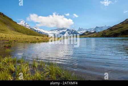 Bachalpsee avec les sommets du Schreckhorn et du Finsteraarhorn, Grindelwald, Oberland bernois, Suisse Banque D'Images