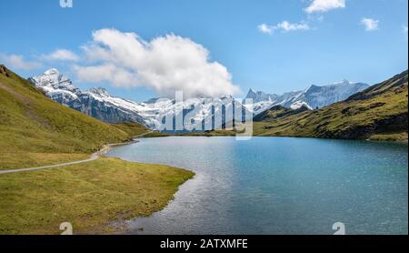 Bachalpsee avec les sommets du Schreckhorn et du Finsteraarhorn, Grindelwald, Oberland bernois, Suisse Banque D'Images