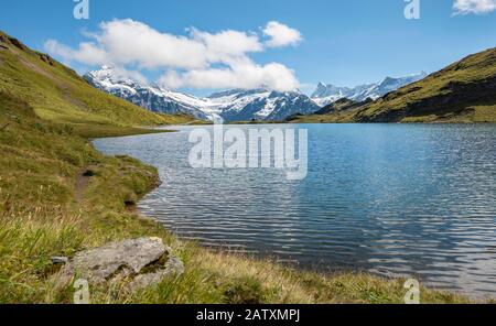 Bachalpsee avec les sommets du Schreckhorn et du Finsteraarhorn, Grindelwald, Oberland bernois, Suisse Banque D'Images